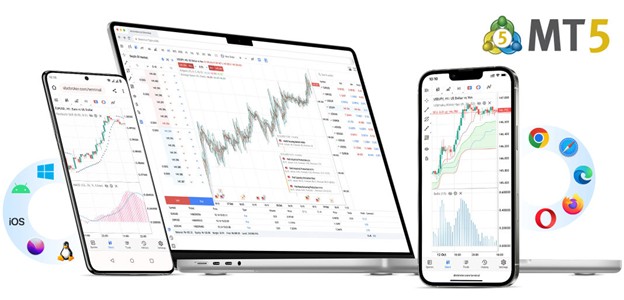 MT4 vs MT5: Which Platform Works Better for Forex Trading?